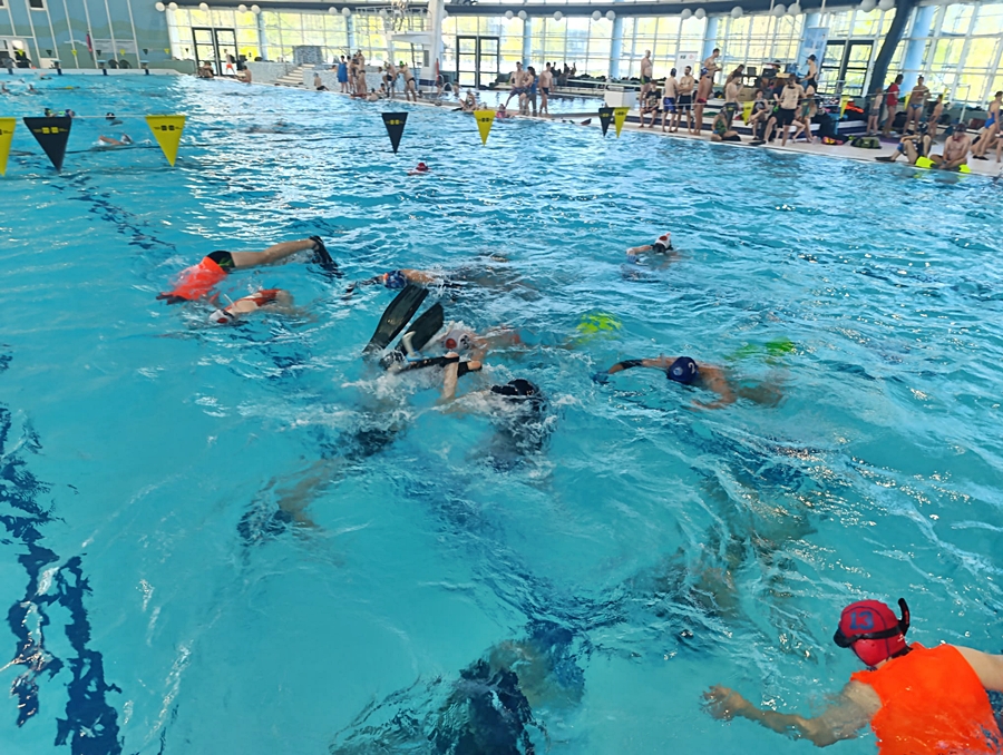 Hokej pod wodą Walenie Czeskie Budziejowice Bud Pig Cup 2026